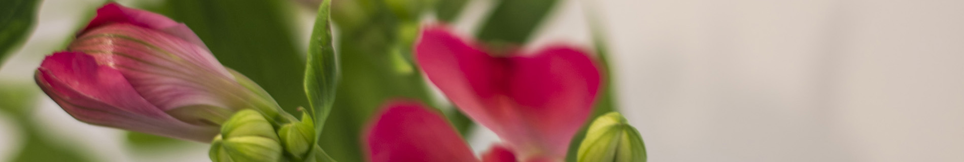 So können Sie verhüten